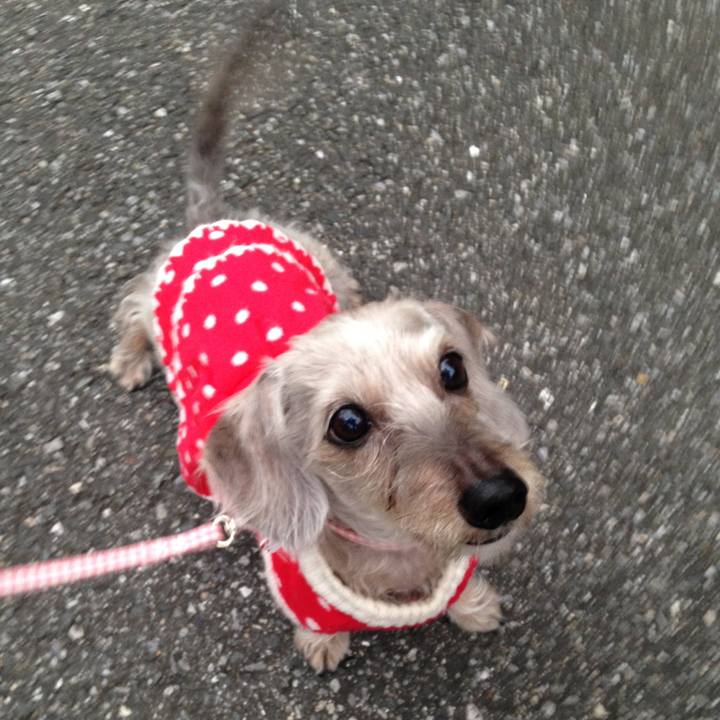 0b184e80 c572 491a af3d e7c02cc4897a