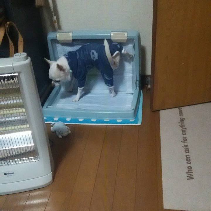 0b18a367 8392 4a53 8fc3 c5b48eb2593b