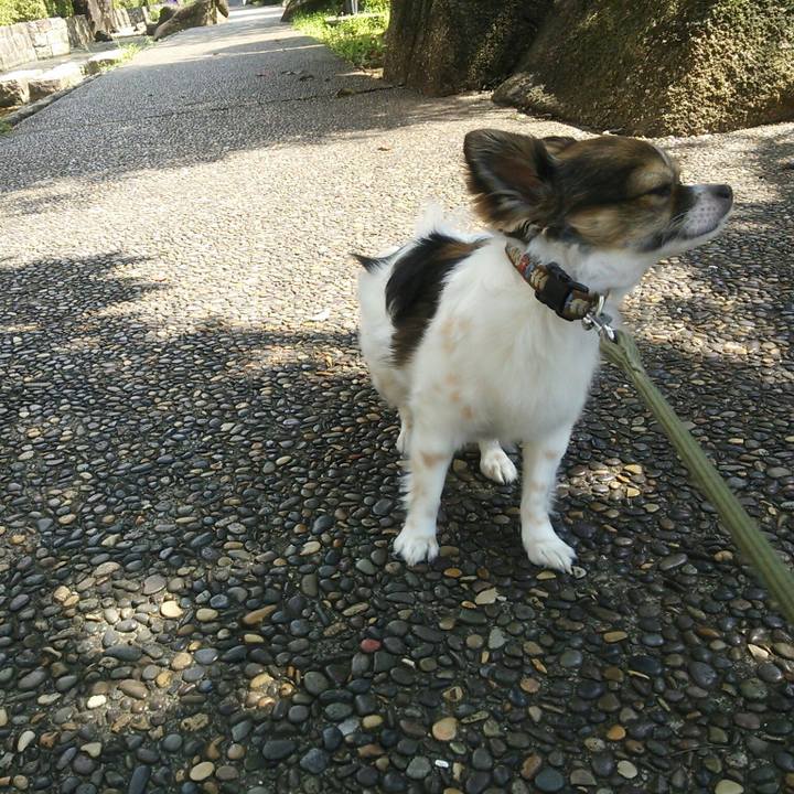 0b18aaee 65d6 4701 8a54 17f526b92281