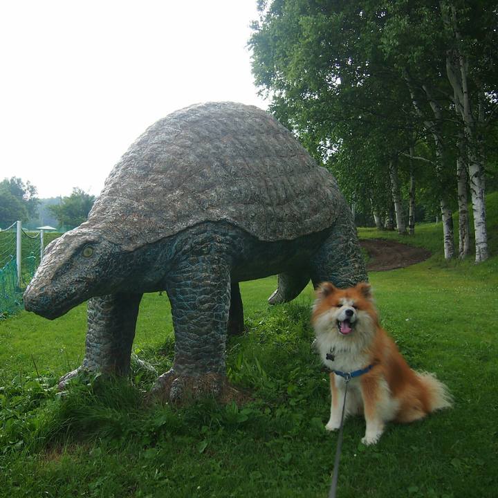 0b197bf9 3264 41df 938e 971474aa8e71