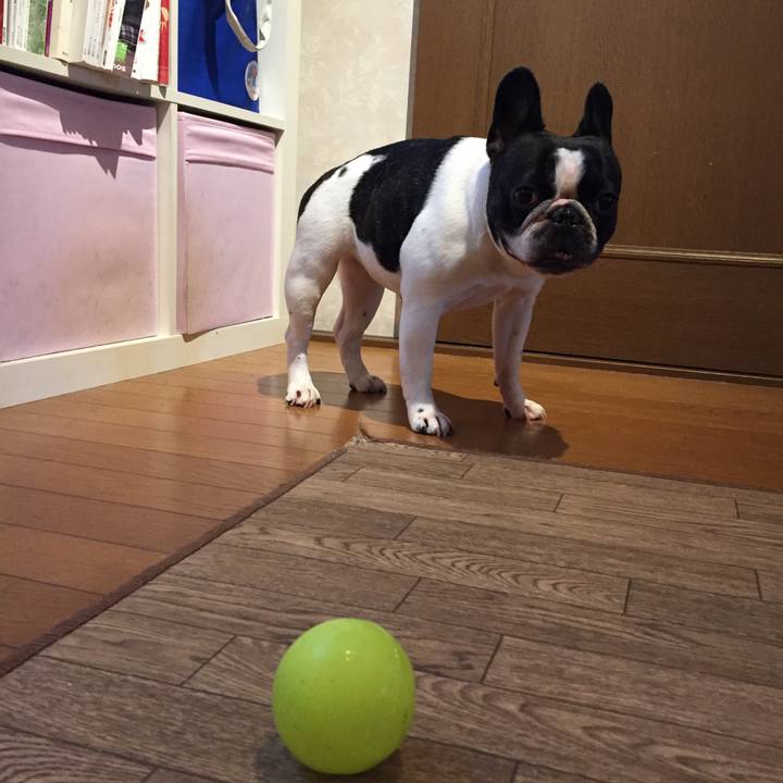 0b19a9fc 3d95 4c63 a145 34c4f0f68589