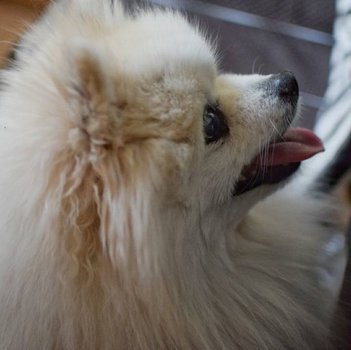 0b19fdfa 3393 418c bb51 63f308bc4a4d