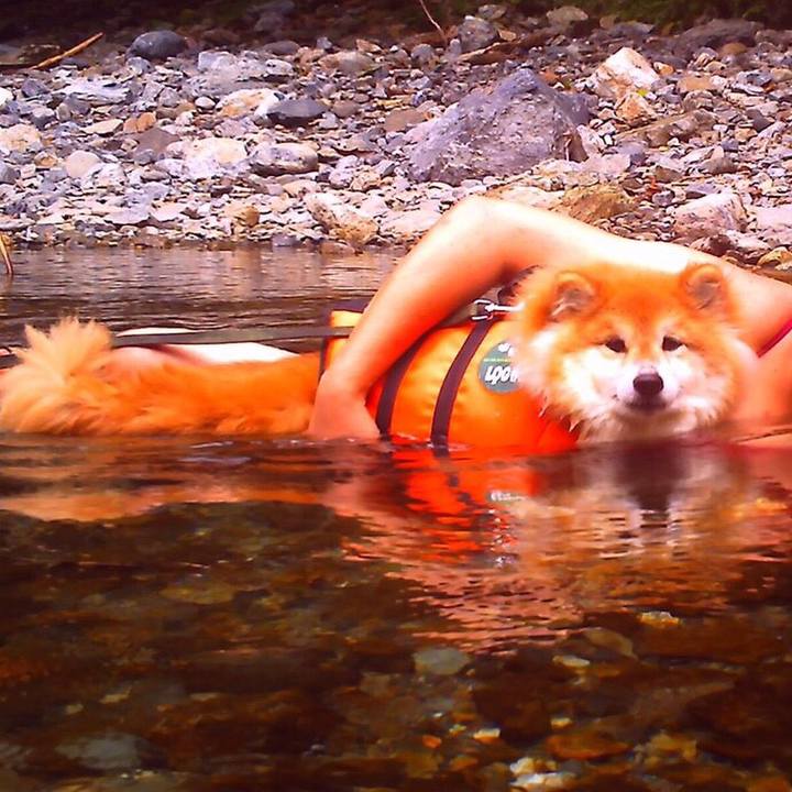 0b1ac26c 237c 4b73 85f2 0d82694d2e33