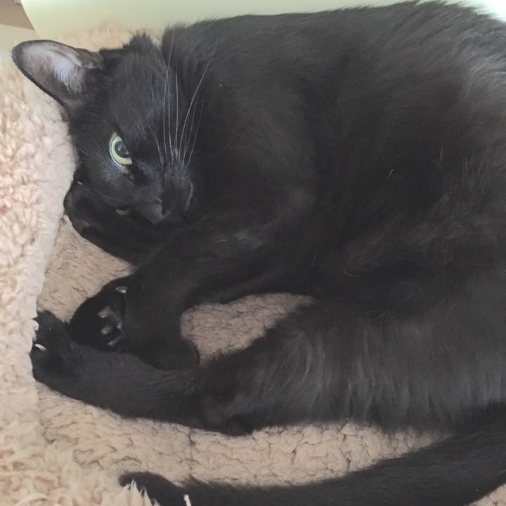 0b1bf5cd b15b 4856 a6ef 8fa888f6c68f