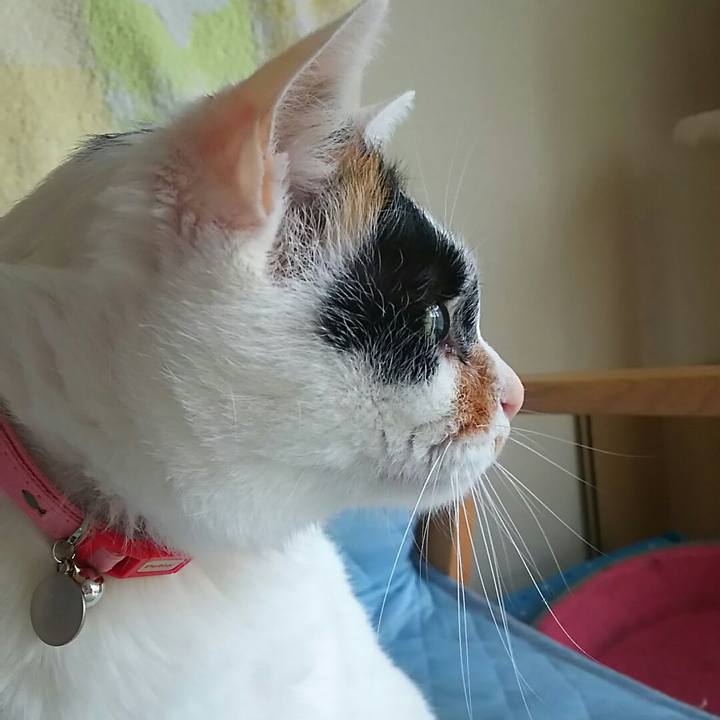 0b1c1393 1ddc 4fd5 972f 37bc53023e90