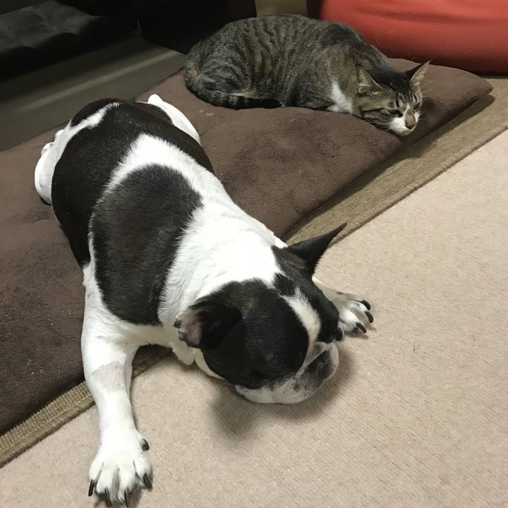 0b1c3f4d eb3f 4e60 88f6 1efd13edc8bb