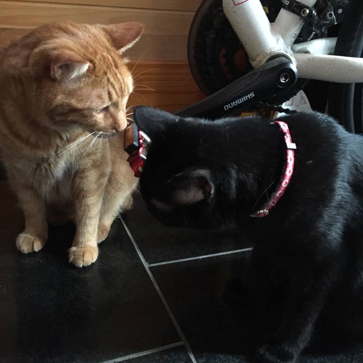 0b1c4615 bd69 48af a39e 247e2dd2192b