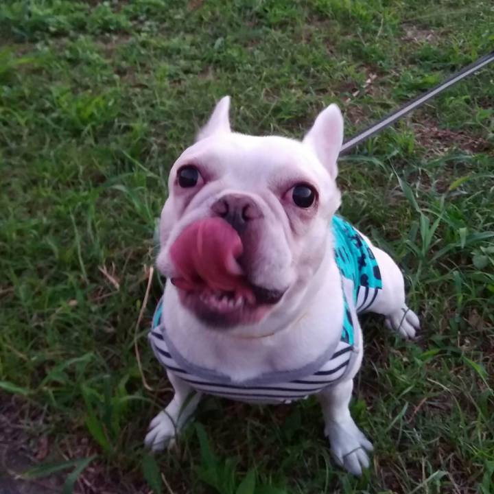 0b1d6bd6 eb53 4315 9eab f0ada88fa055