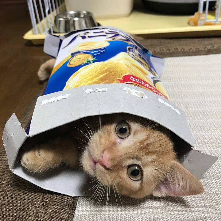 0b1e2eae 3771 4dcc b442 31b9854cda78