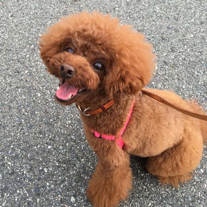 0b1e757f 5f4f 45a9 b4b1 69726421ed63