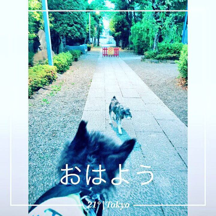 0b1ecdd3 4d70 4e1f 99f5 3699f466845b