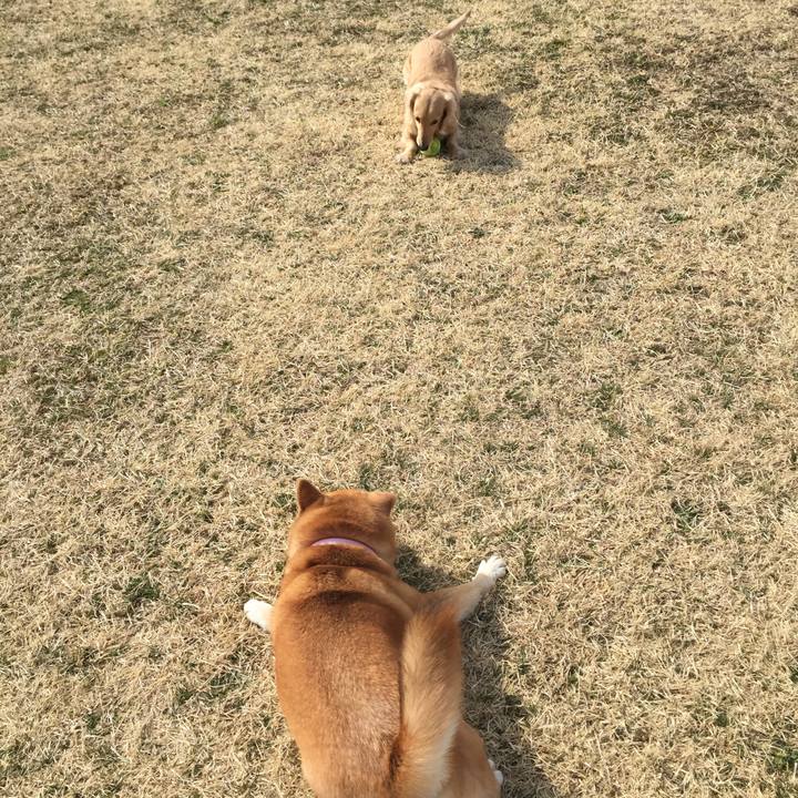 0b1f0e24 36d1 42e8 ac6b e1d78f7c6918