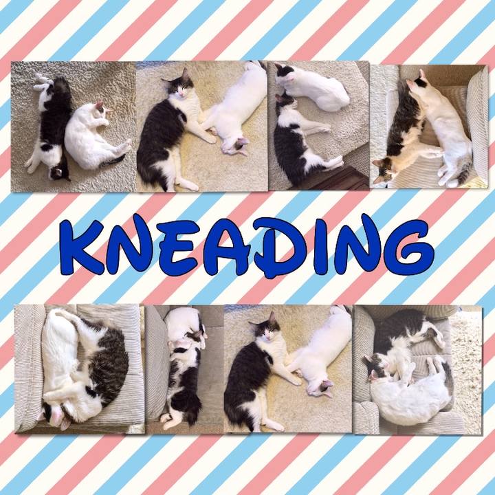 0b200a02 bdbb 424c b381 af335b4912b7