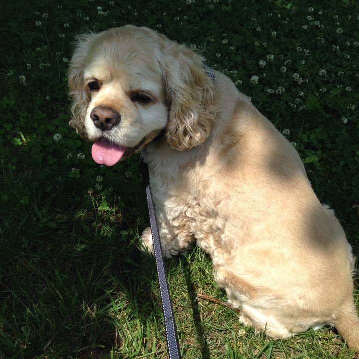 0b214b9e 0da4 41f3 a386 1c271a81714a