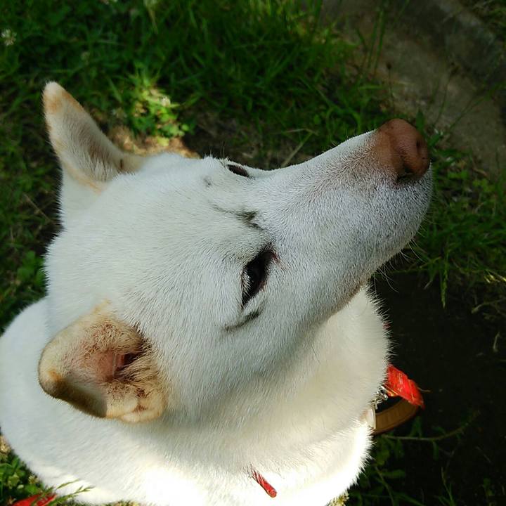 0b215867 c43d 467f 874a c5032eeabe45