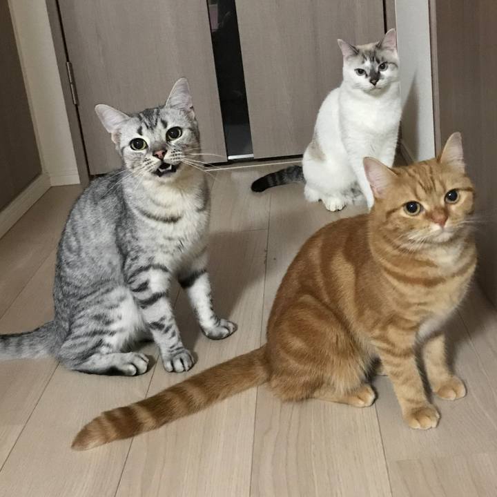 0b21acae 83b6 4808 9603 0b230981320b