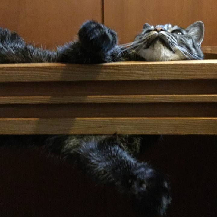 0b21f414 e8bf 448f 8889 b7d6ecc4f370