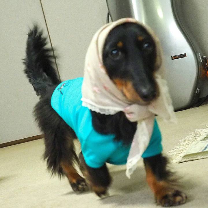 0b224151 562e 4912 b45e 3fd917da93a4