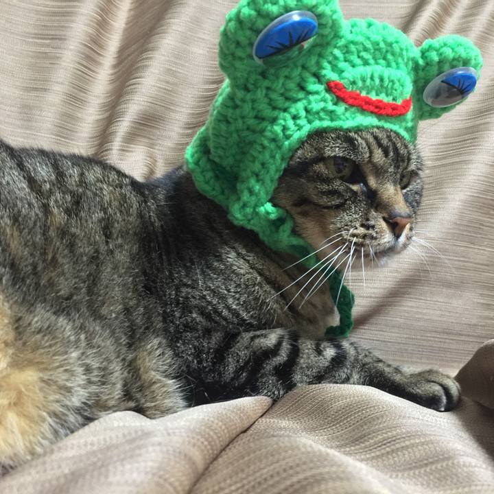 0b22ea9d b2ad 42e0 a83d 3a10d1966df2