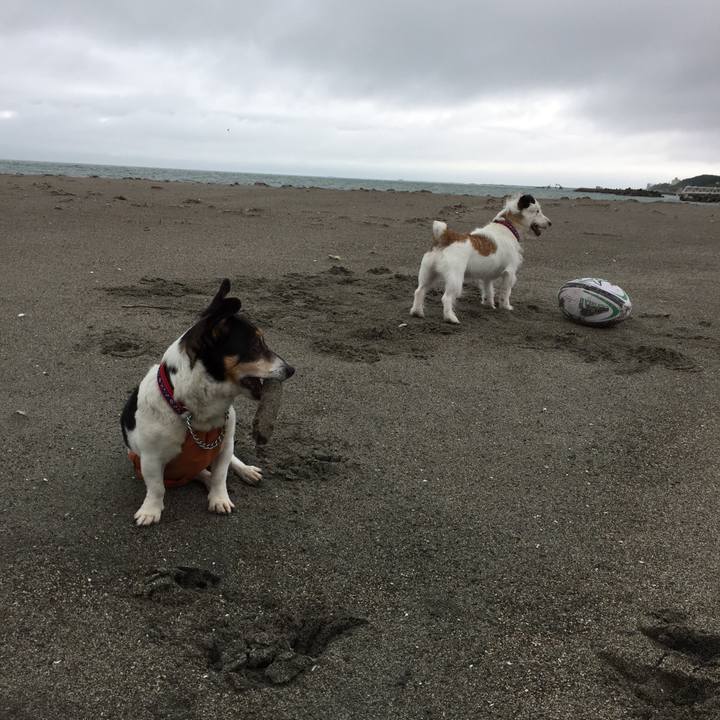 0b23d115 c32d 4f30 9f2c 749052a2639f