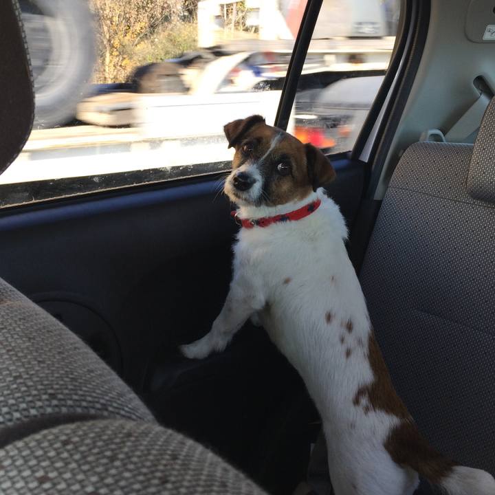 0b242525 a7b9 4014 9b32 353547700efe