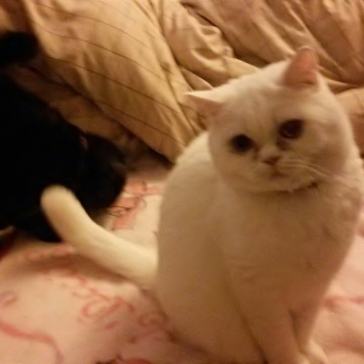 0b247423 f521 4452 9ff1 515c2fa71c5a