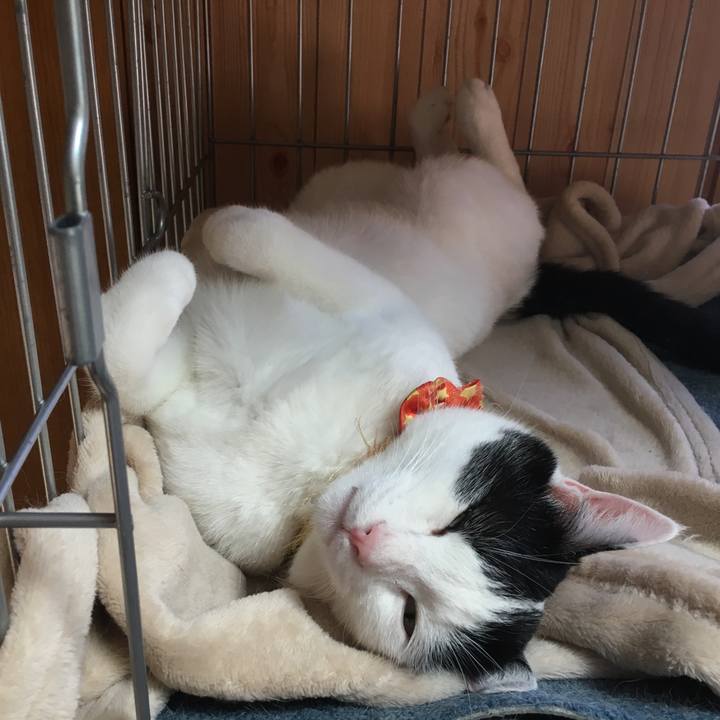 0b24d189 f6c5 4aa0 a17c fca67206cb8d