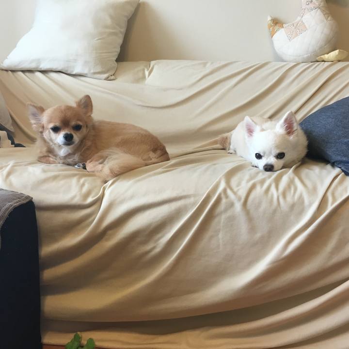 0b2551d9 dcde 45f4 b866 a5d6d7bbd0ff