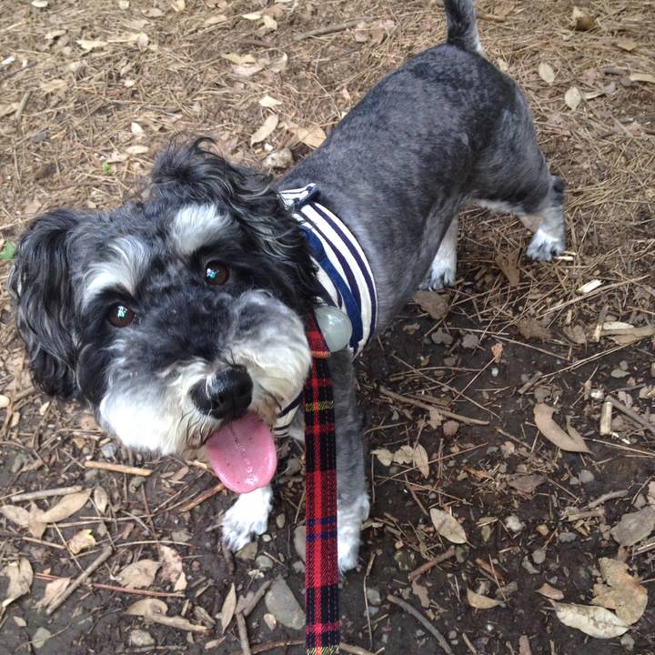 0b255948 d7b8 4734 9d03 5075e8b17a03