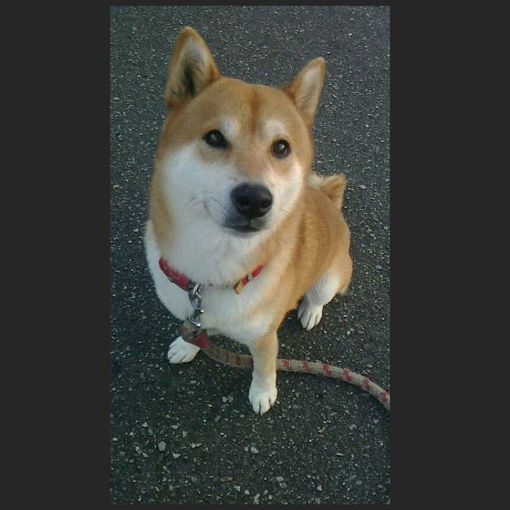 0b259713 269c 48d7 ae4b fd33924a33f1