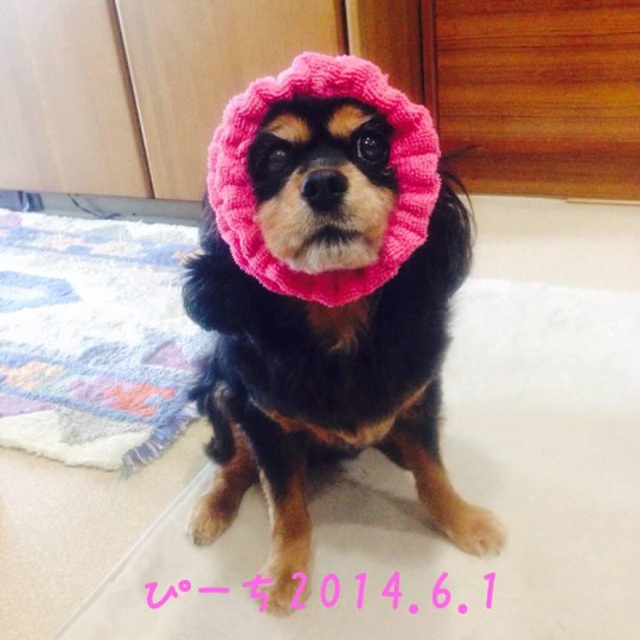 0b25afc2 e60a 4e93 9f33 45be281a3de0