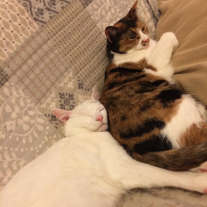 0b25e052 c0bc 4179 9347 9116cc851d47