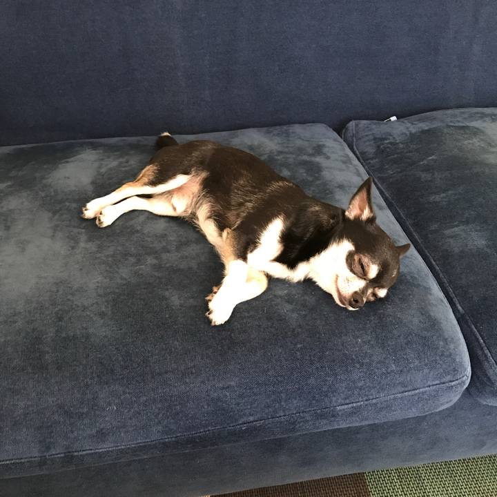 0b2602f5 da85 4359 9555 5d2ea18b8011