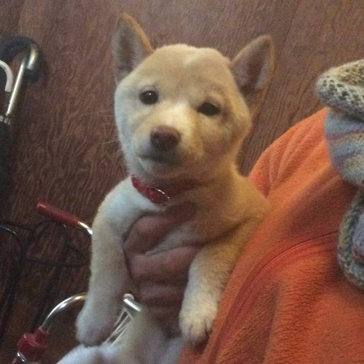 0b265628 c288 4761 8d35 94871e757096