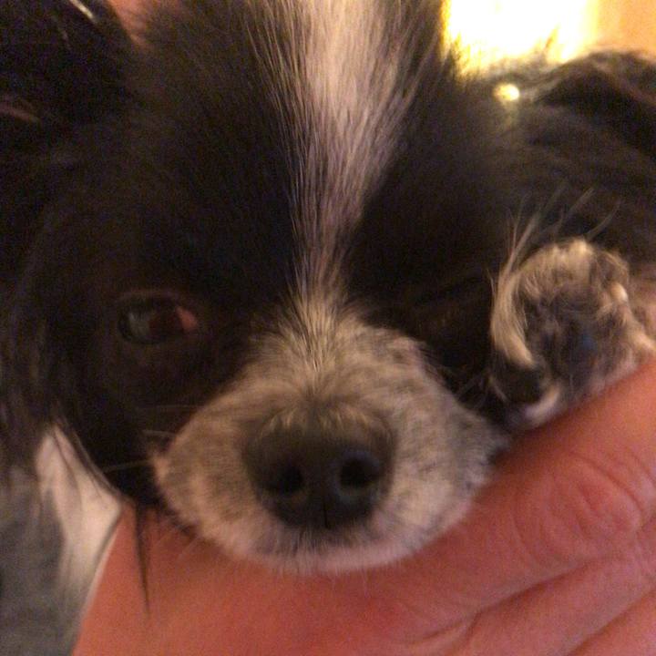 0b26c15b e2bb 4207 8e93 99f5fbe6a8b4