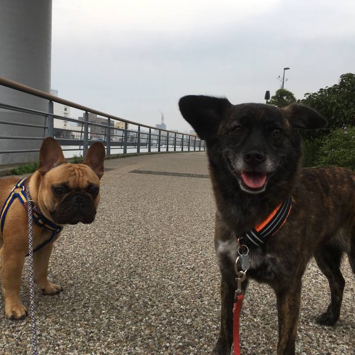 0b275cb5 75e5 4f44 8ec1 59e0e150b7e1