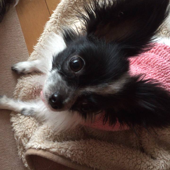 0b276428 fc34 48b3 a066 f23e203bd920