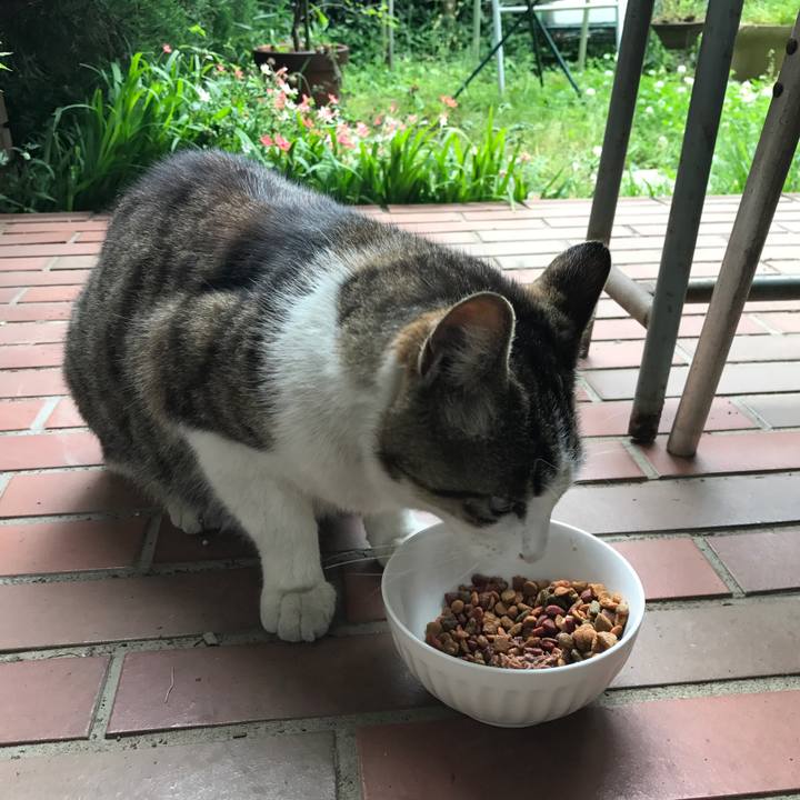 0b286a4a 886f 4749 b22c b15b6ec9f8da