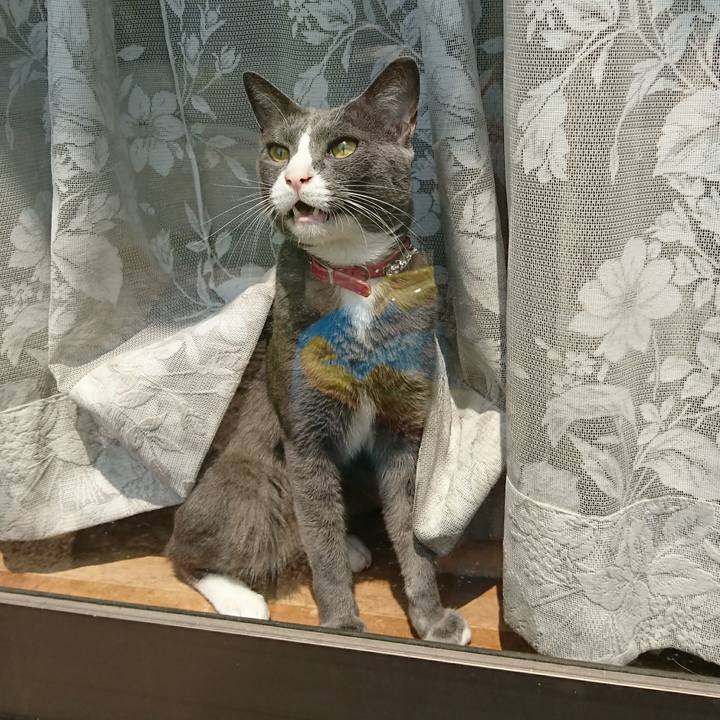 0b287496 4d98 47ce 83b8 050c8aa46329