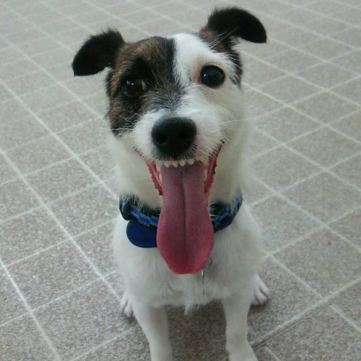 0b291cd5 36ee 43b0 98cd a62c6fe13d68