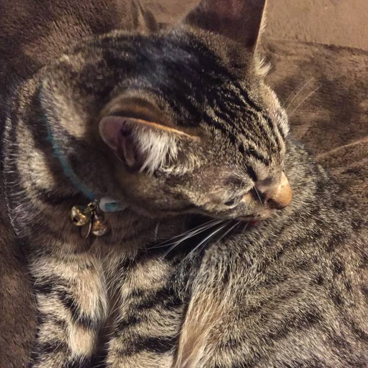 0b2969ed fcc5 4534 80d2 27502571c6a9