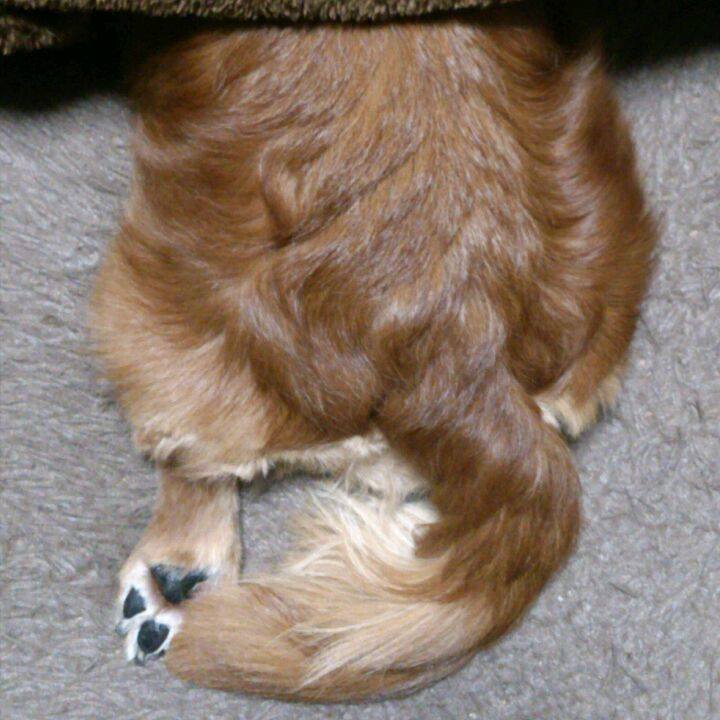 0b2a1749 3552 480d a362 582cfbe292a5