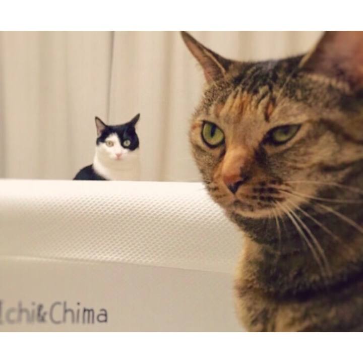 0b2a3cb4 2f76 4774 a167 e2d14e136dd7