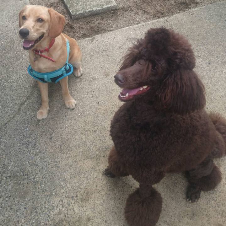 0b2a5cf5 c5c8 466f b687 3a14a3269a41