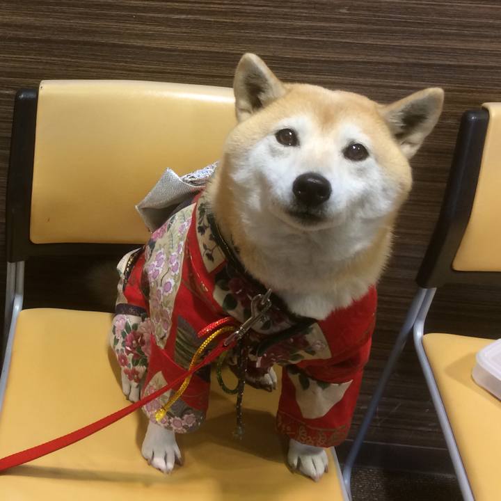 0b2a695b 83cb 4f05 ae79 383732d041b3