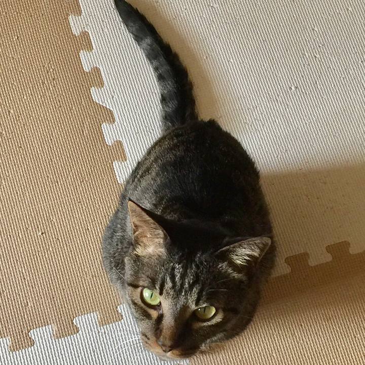 0b2b1be1 ca96 4233 b611 dad2fcbfeac7