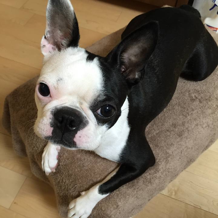 0b2bb236 e48b 4c5f 8de6 d32918d93ab5