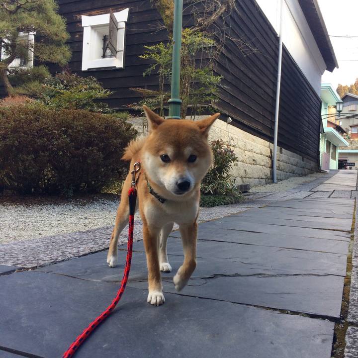 0b2bd056 87ed 4f95 b709 c6ca1b550ffb