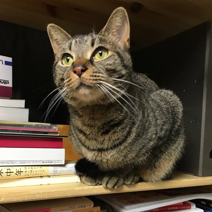 0b2c03e7 dbee 41b9 990e 05a3e31101c2