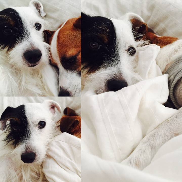 0b2c2737 f894 4b0d 8c73 db13d136d63b